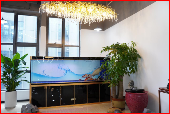 84450732-9c49-4314-8bd4-bd8734a7271f